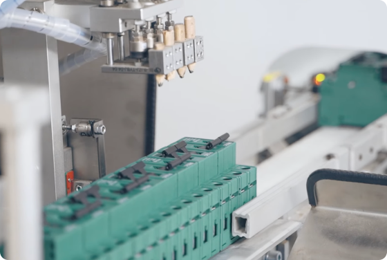 manufacturer-strength-feeo-factory-03